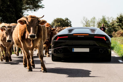 Vaca Lamborghini Ruta DME GT Club